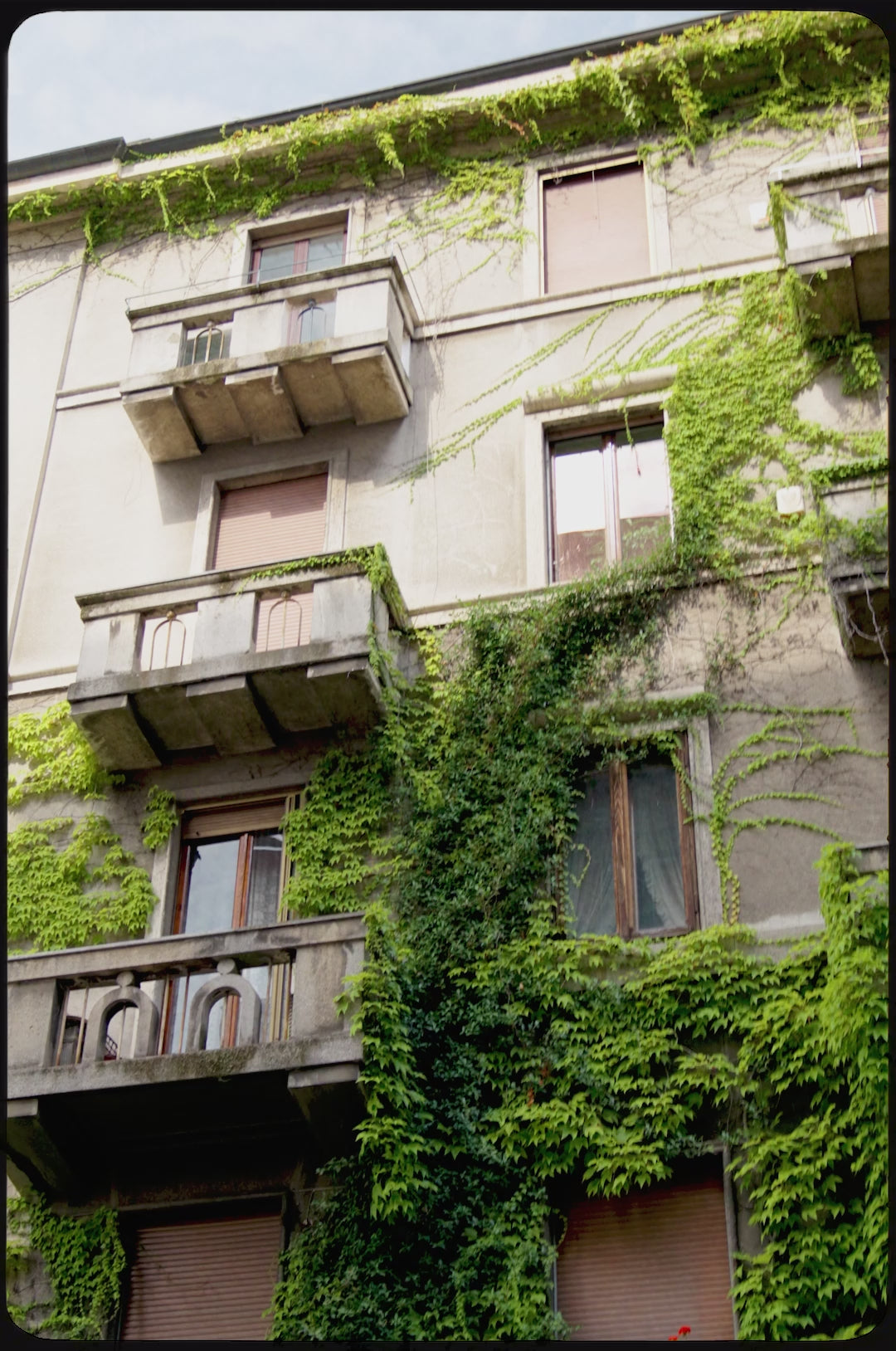 Učitaj video: Court V2 Flag Multi Zebra